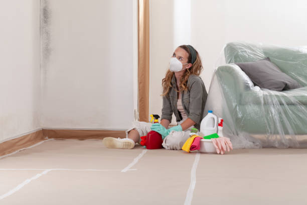 Reliable Mold Remediation contractor in Irving, TX by WQB Mold Removal